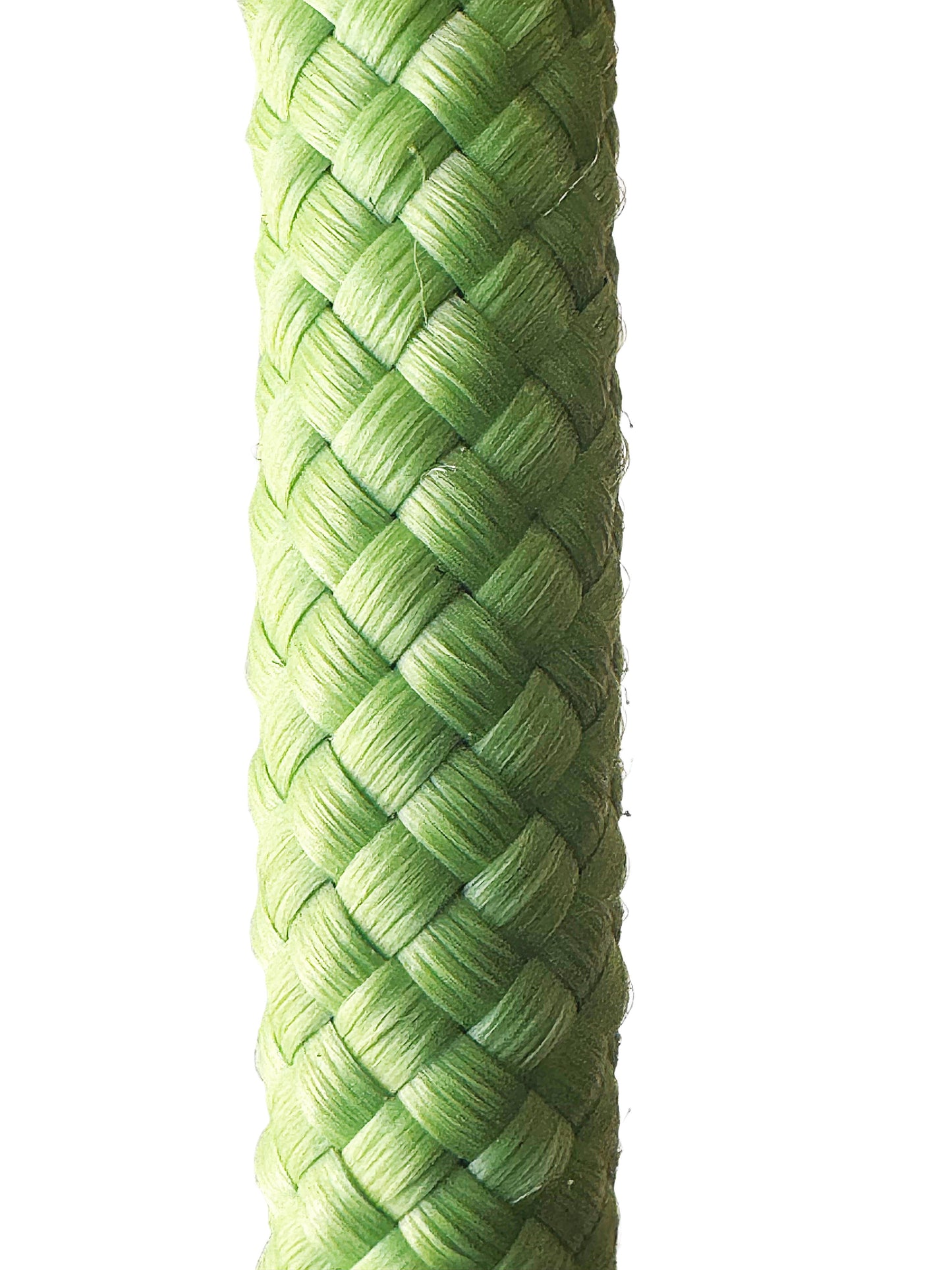 Slip Leash for dogs