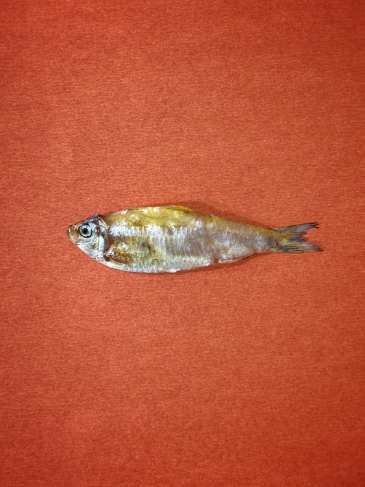 Dehydrated White Sardine fish treat(approximately 40 pieces)