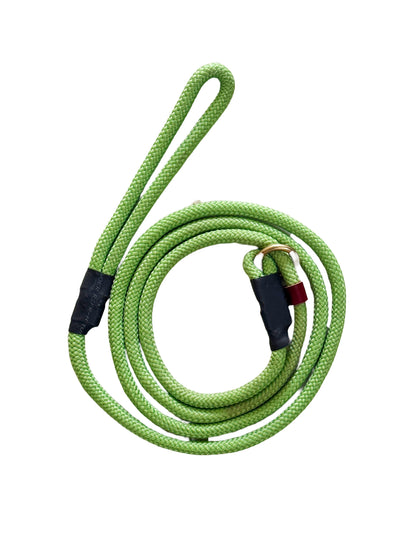 Slip Leash for dogs