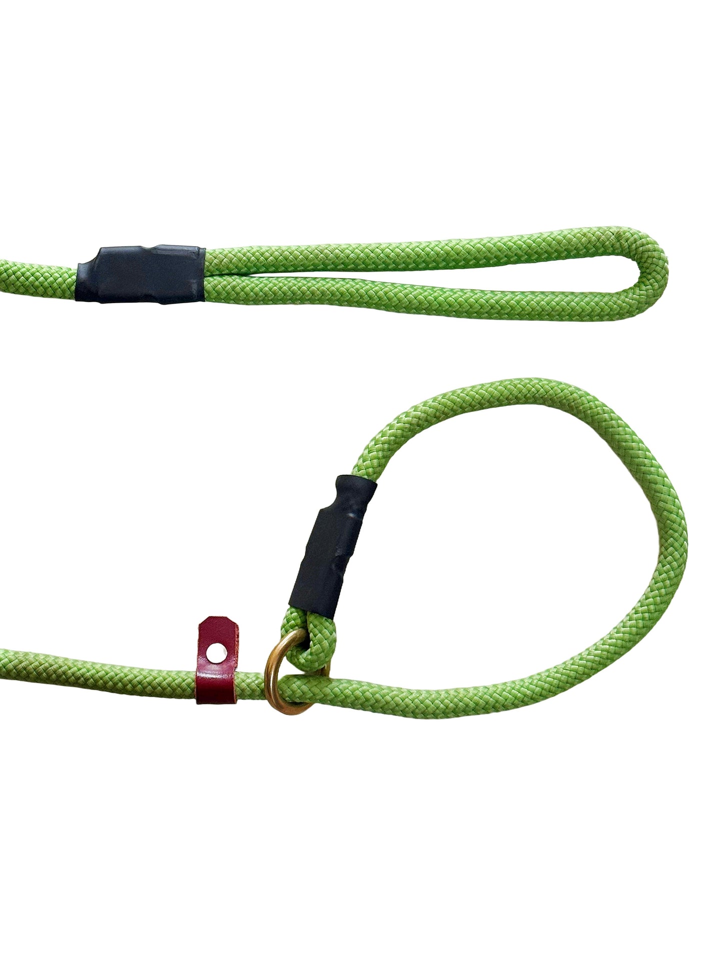 Slip Leash for dogs