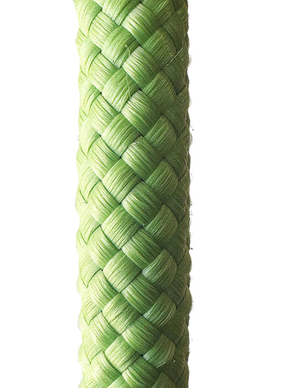 Slip Leash for dogs