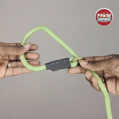 Slip Leash for dogs